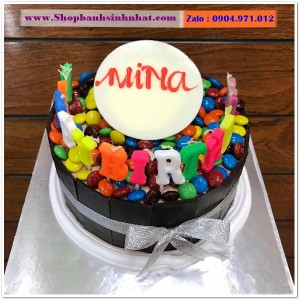 Bánh Sinh Nhật Socola - S286